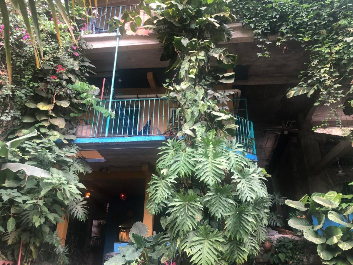 Casa Cereza Apartments Puerto Vallarta Exteriér fotografie
